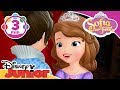 Sofia Den Første Prinsesse Rose Disney Junior Danmark Sofia Den Første Prinsesse Rose Disney Junior Danmark