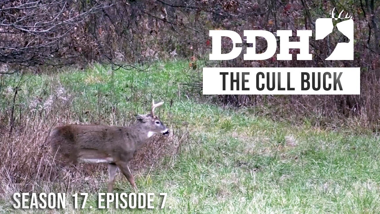 The Reality of Cull Bucks | Deer & Deer Hunting TV