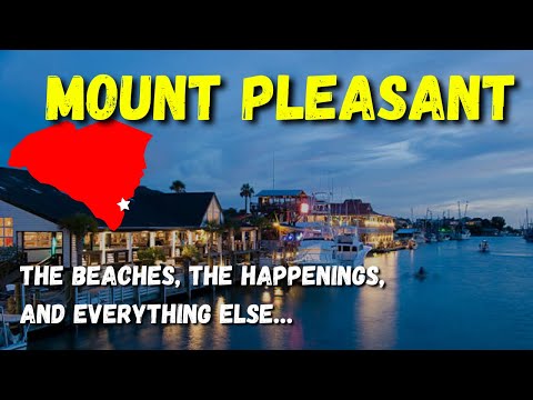 (MOSTLY) Everything About Mount Pleasant - Close To Multiple Beaches And Downtown Charleston