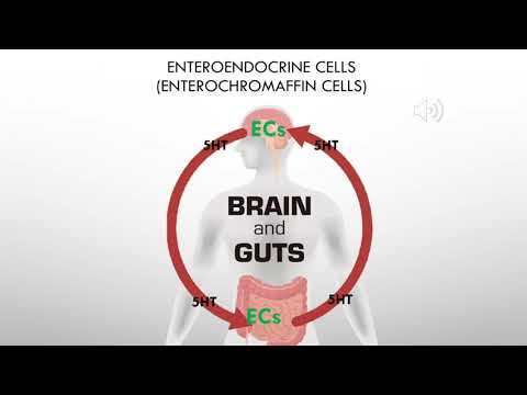 Clostridium Ramosum Regulates Enterochromaffin Cells and Serotonin Release