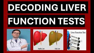 Liver Function Tests Explained (ALT, AST, ALP, GGT, Albumin, Bilirubin, INR Made Simple)