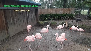 The Animals of Alexandria Zoo in Louisiana