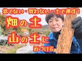 畑の土を山の土に近づける〜水と草と土の話〜