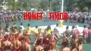 BONET TIMOR | 2020