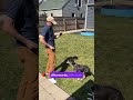 Saving dog from trash bin