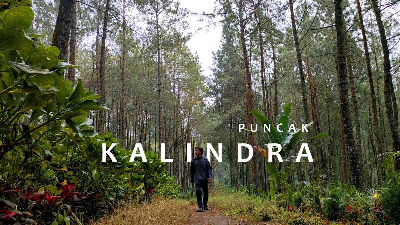 Puncak Kalindra di Coban Talun - Phone Cinematic Vlog