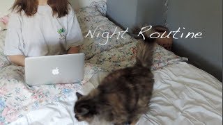 Night Routine