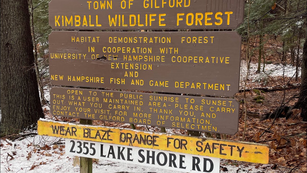 Lockes Hill Trail Gifford NH YouTube