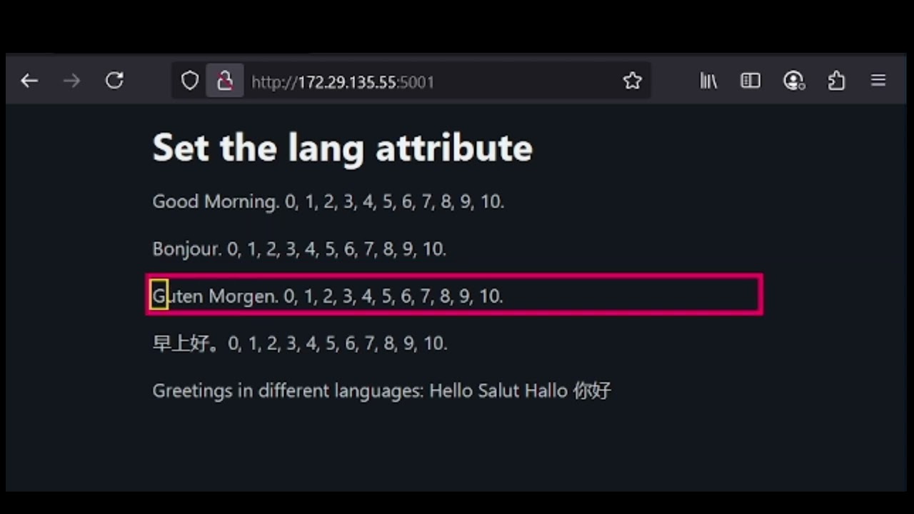 set the lang attribute on the html tag