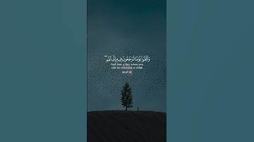 سورة البقرة 💙#حالات_دينية #حالات_واتس #حالات_واتساب #قرآن #حالات #كرومات
