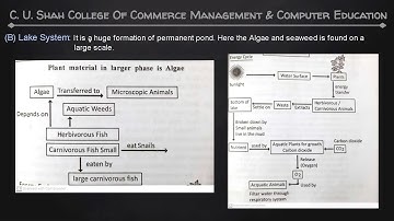 B.B.A SEM-1 ENVIRONMENTAL SCIENCE  U1 PART VI  BY PROF. BHARTI PARMAR