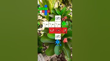 Painting inside out 2 cartoon characters Puzzle game #insideout  #puzzle