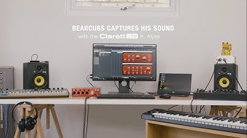 Focusrite // The Clarett 4Pre USB with Bearcubs