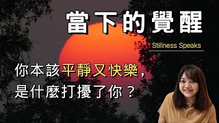 是什麼擾亂了我們的平靜？一個真實又平靜的存在，才是你我的本質，是我們的本來面目。►《當下的覺醒》埃克哈特.托利｜說書｜書評｜千芸說書