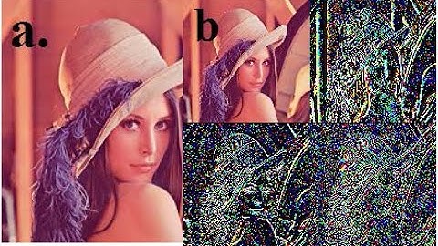 Nhóm 27: Video demo image watermarking with DWT