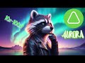 AURORA: Обязательно к просмотру перед принятием решения!