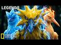 Real Life Pokémon – Documentary: Zapdos, Moltres &amp; Articuno | The Legendary Birds