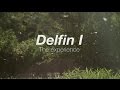 Delfin i amazon cruise  rainforest cruises