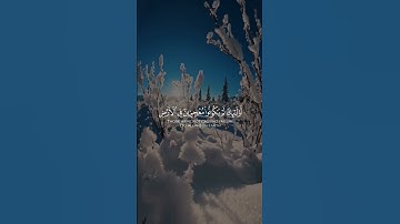 #سعد_الغامدي #تلاوات #آيات #القرآن_الكريم #قرآن #تلاوة #قران_كريم #قران #تلاوة_خاشعة #القرآن #quran