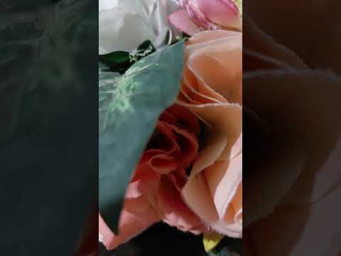 تاريخ صدور الدستور المصري ٢٠١٤ المعدل في ٢٠١٩