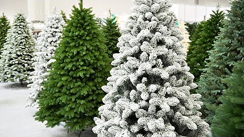 Real tree or fake tree: Experts say both holiday staples have pros and cons