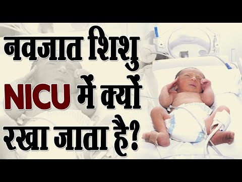 वीडियो: क्या आप बच्चों को निकू में रख सकते हैं?