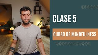 Clase 5 Curso Mindfulness Gratis | Aprende a Meditar Paso a Paso (Mindfulness)