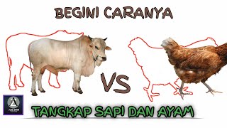 VIRAL !! CARA BIKIN VIDEO GAMBAR AYAM BERGERAK | SCREENSHOT TANGKAP AYAM