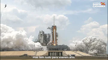 O que é um nidus?