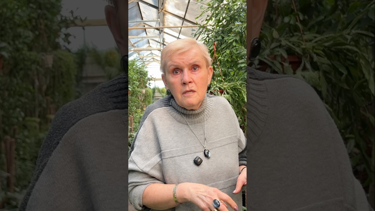 Удобрения для комнатных 