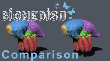 Comparison of Biomedisa with a conventional segmentation approach