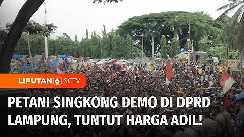 Demo Petani Singkong di DPRD Lampung Tuntut Harga Wajar | Liputan 6