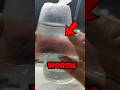 Blood Worms For My Guppy Fish Shorts Aquarium Fish Fishtank Blood Worms For My Guppy Fish Shorts Aquarium Fish Fishtank