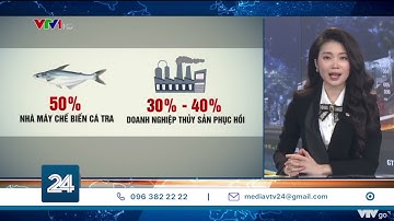 Ngành thủy sản chặn nguy cơ đứt gẫy chuỗi cung ứng| VTV24