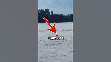 Crocodile Pretends To Be a Human (@lukman_arisma)