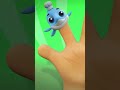 Shark Finger Family #shorts #cartoonvideos #nurseryrhymes #kidstv #babyshark