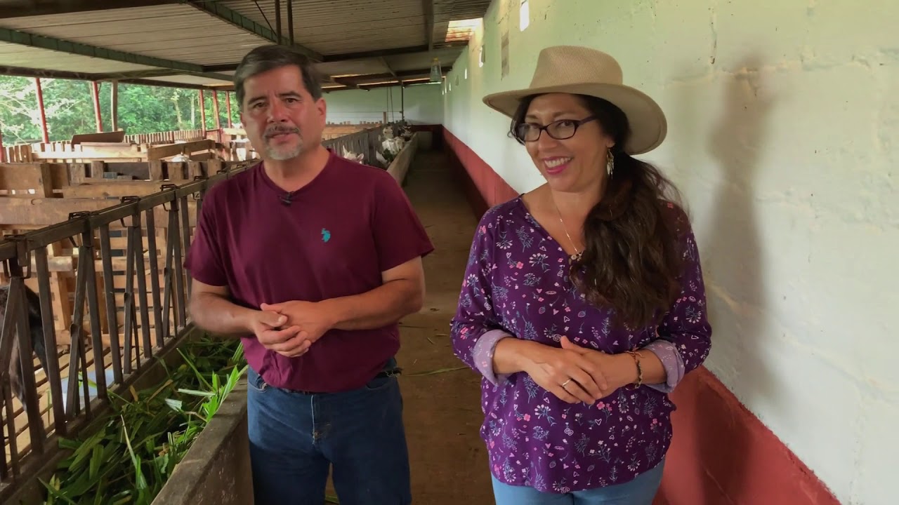 Libre y Saludable - Quesos de Cabra en la Granja Don Nelo