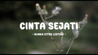 Download Lagu bunga citra lestari - cinta sejati - tamanmusic lirik MP3