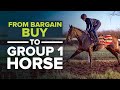 HOW TO TURN A £6,500 RACEHORSE INTO A GROUP 1 HORSE