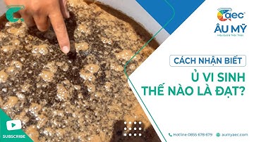 Ủ AEC-COPEFLOC như thế nào là đạt ? | Thuốc thủy sản Au My AEC