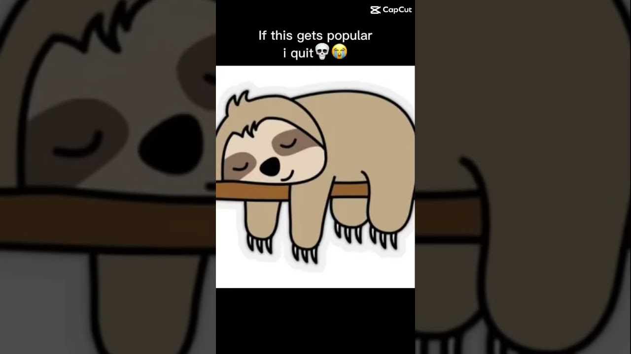 Scraga Aba yaba daba