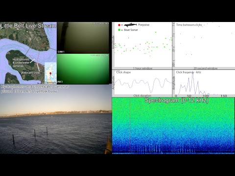 SEICHE WATER TECHNOLOGY GROUP LTD Live Stream