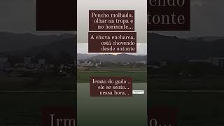 Poncho malhado #gaucho #rgs #campeiro #cavalo #sertão #pampa #nativismo #tropeiro #boiada