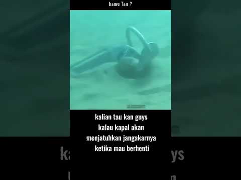 Video: Apakah definisi jangkar?