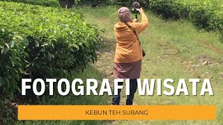 Download Lagu Landscape Photography WISATA KEBUN TEH SUBANG #subang #westjava #traveling MP3