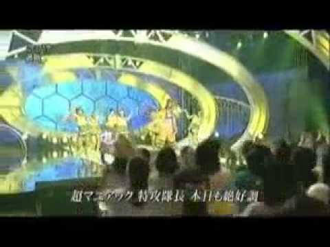 遊助_-_ミツバチ.MP4