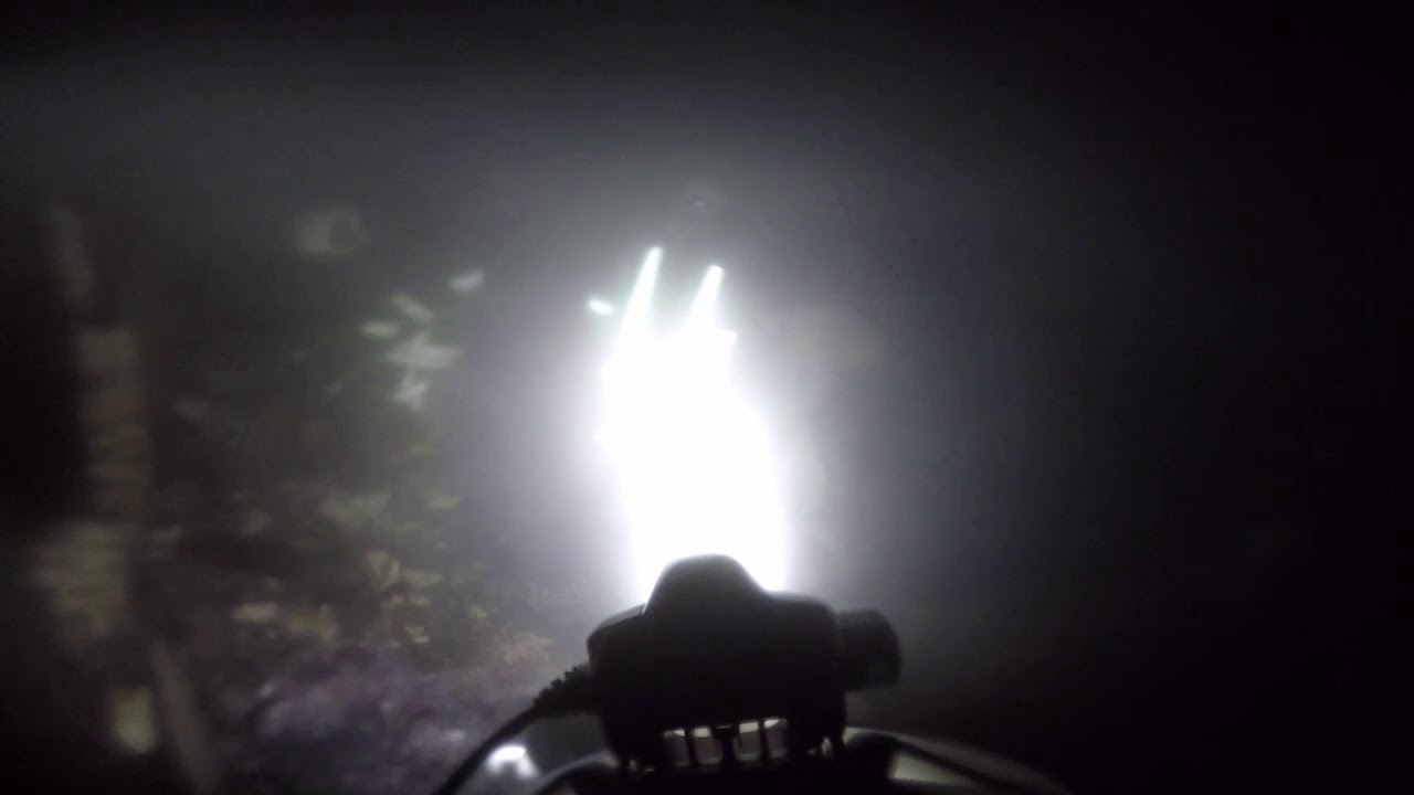 بلدة أرينبة