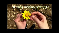 16. - День рождения - стихи