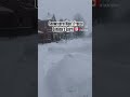 Snowstorm Won’t Freeze Canada’s Spirit | Ontario, Canada 🇨🇦 #winter #storm