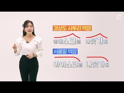 [사투리 교정법] 서울말을 쓰고 있다 말하는 지방러들에게 ""지↗금 서울↘말 썼는데...?"